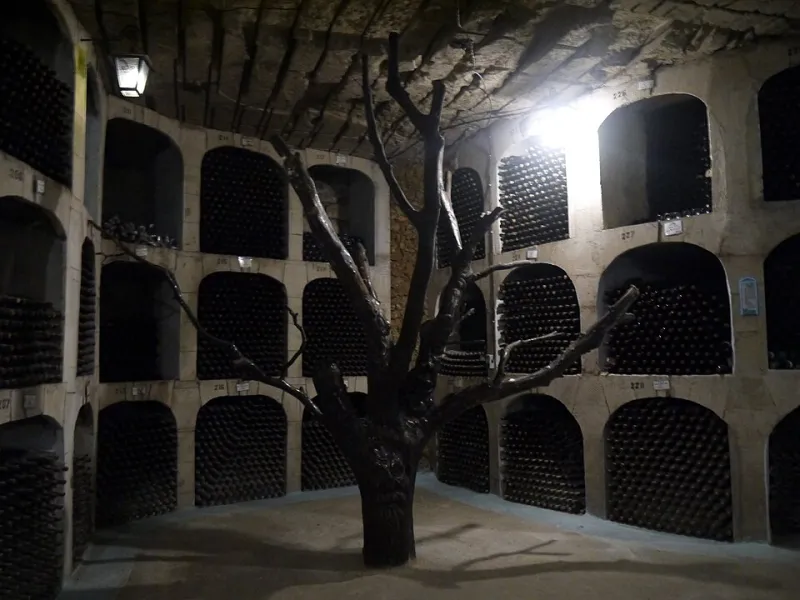 L'art de préserver et sublimer vos bouteilles : conseils de cave et de service