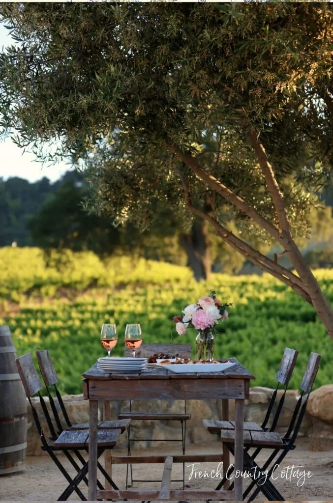 De la vigne à l'assiette : quand chaque gorgée révèle l'âme d'un terroir