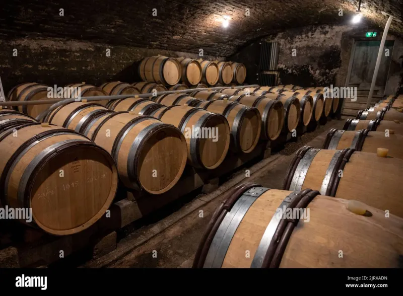 Quand l'année devient signature : l'empreinte indélébile des millésimes sur nos vins