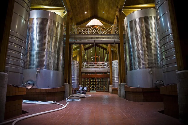 La fermentation, ce moment où le raisin devient vin : les choix fondateurs de Clos Henri
