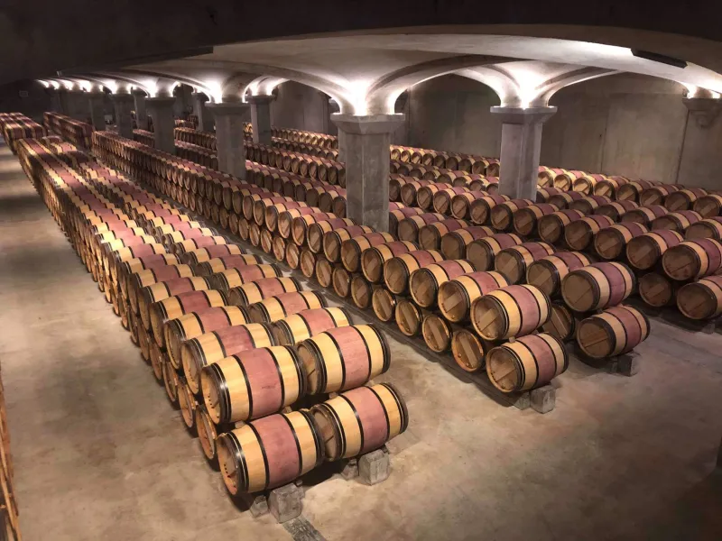 Dans l'obscurité de la cave : l'art d'écouter vieillir ses vins chez Clos Henri