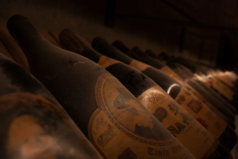 Le temps comme alchimiste : ce qui distingue un grand vin de garde d'une bouteille oubliée
